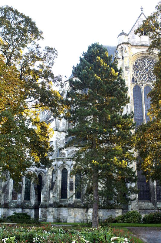 chevet et petit transept nord